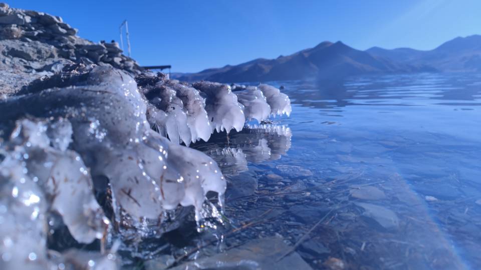 找搭子
