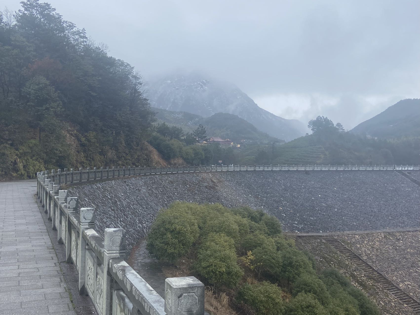 找搭子