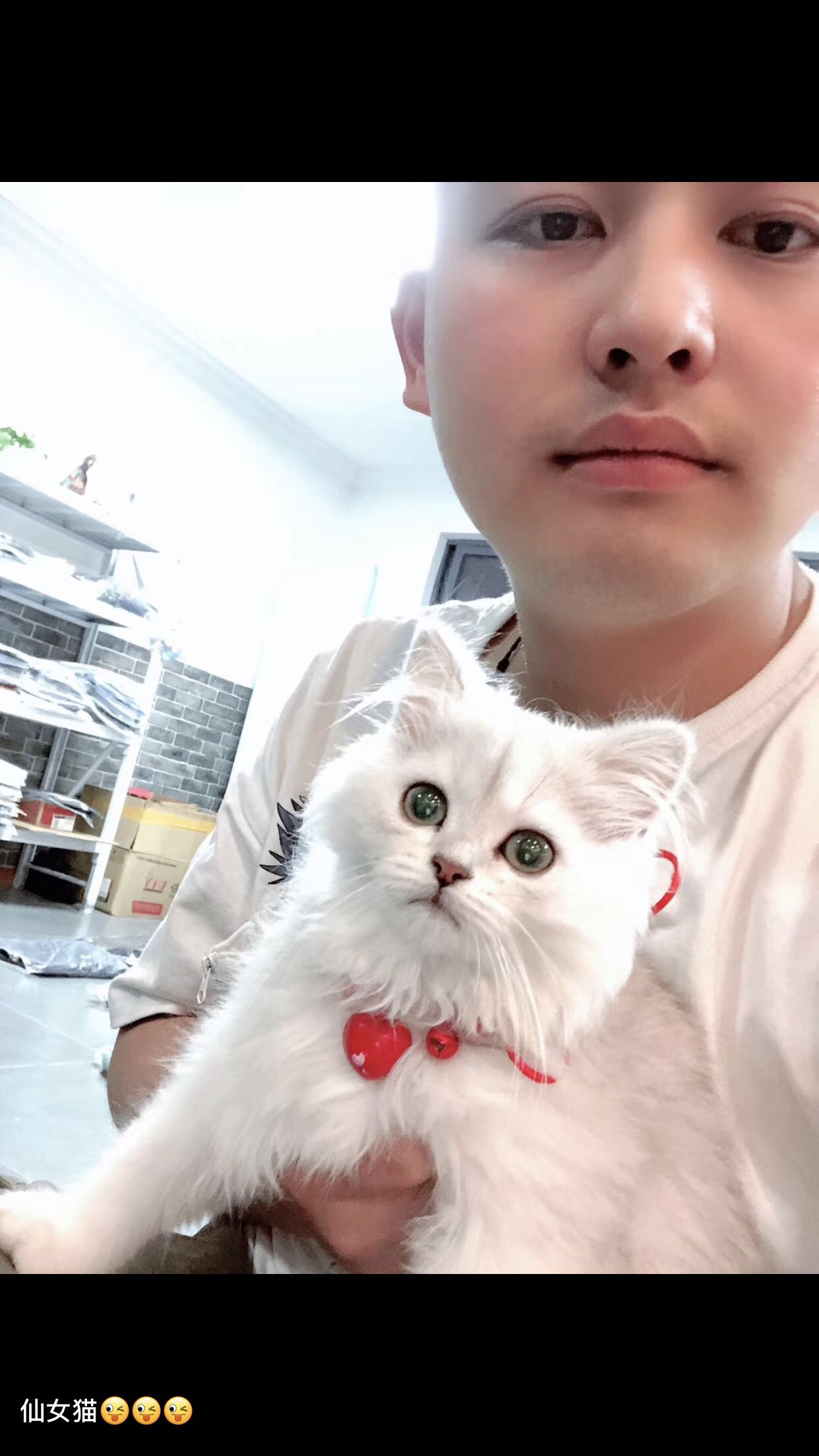 找搭子