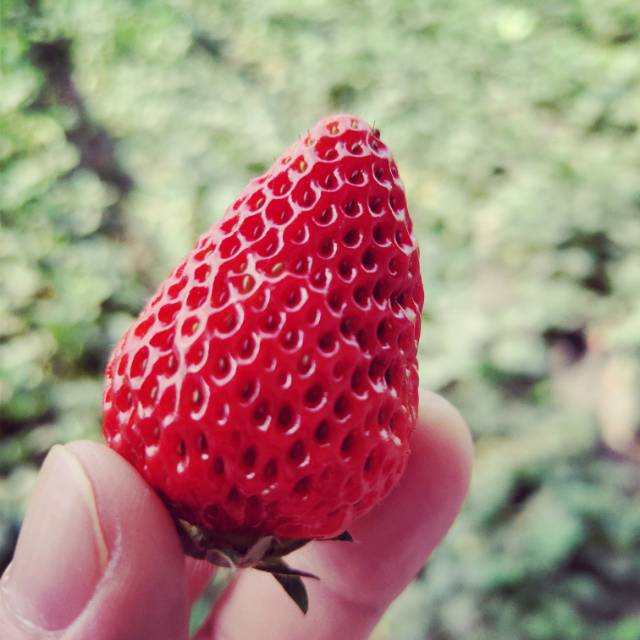 找搭子