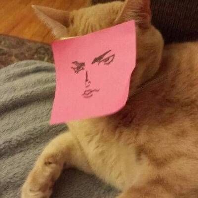 找搭子