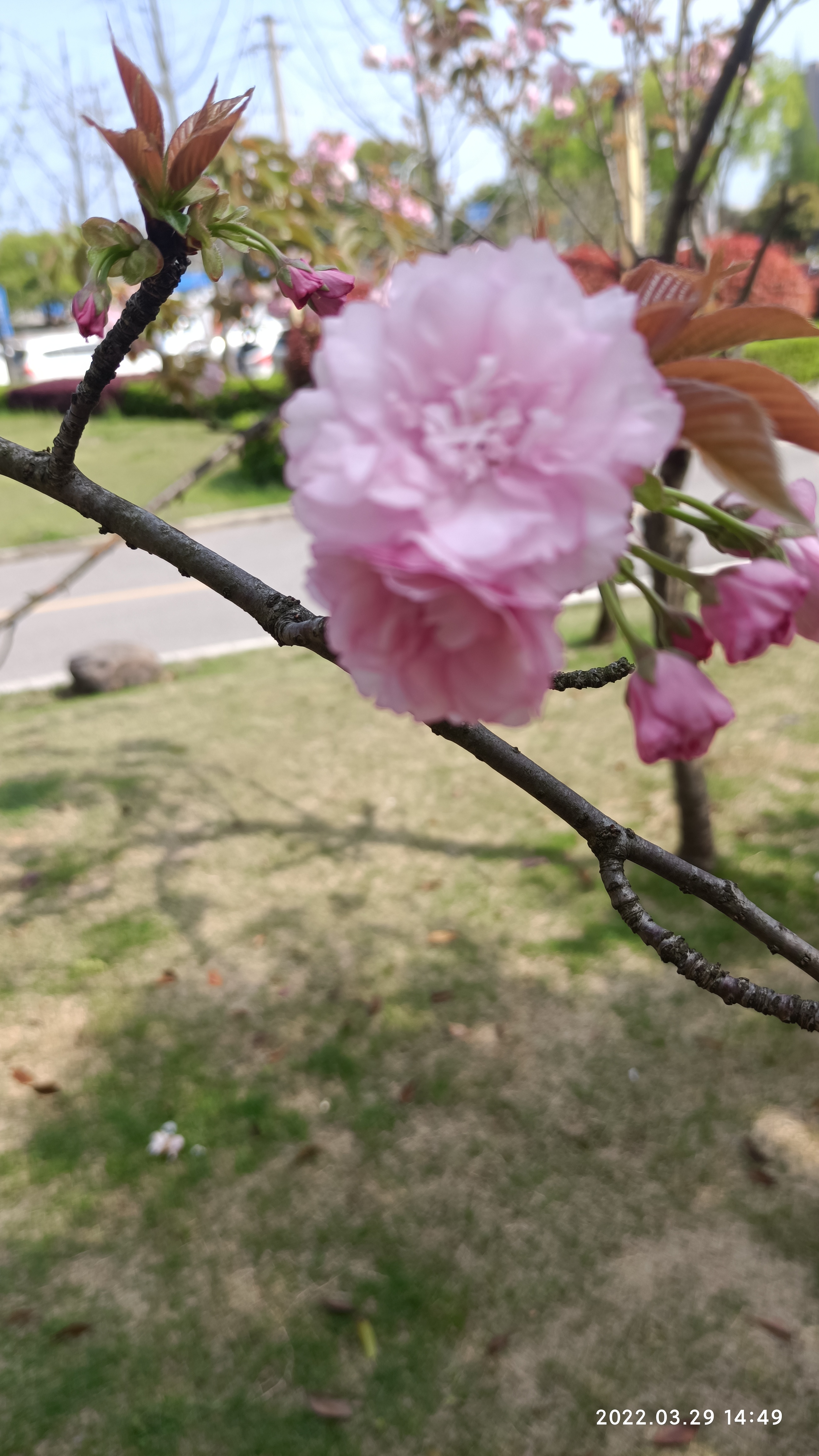 找搭子