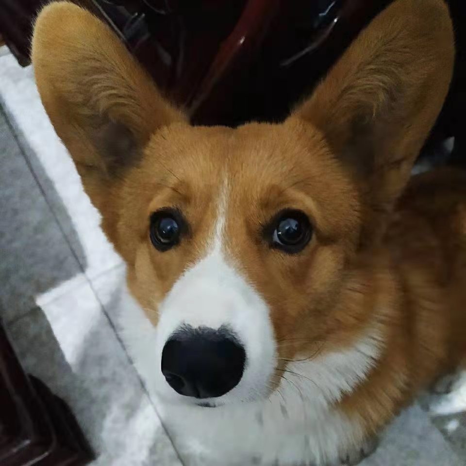 找搭子