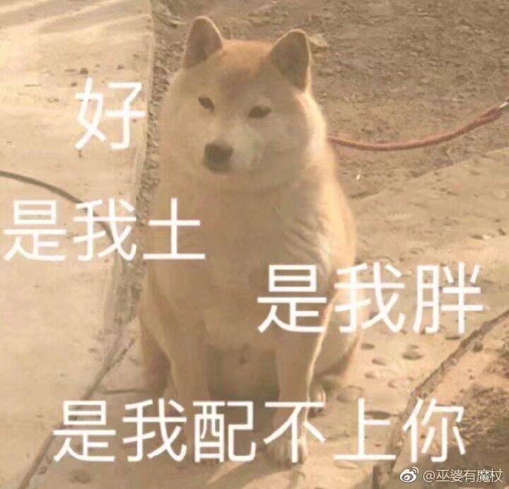找搭子