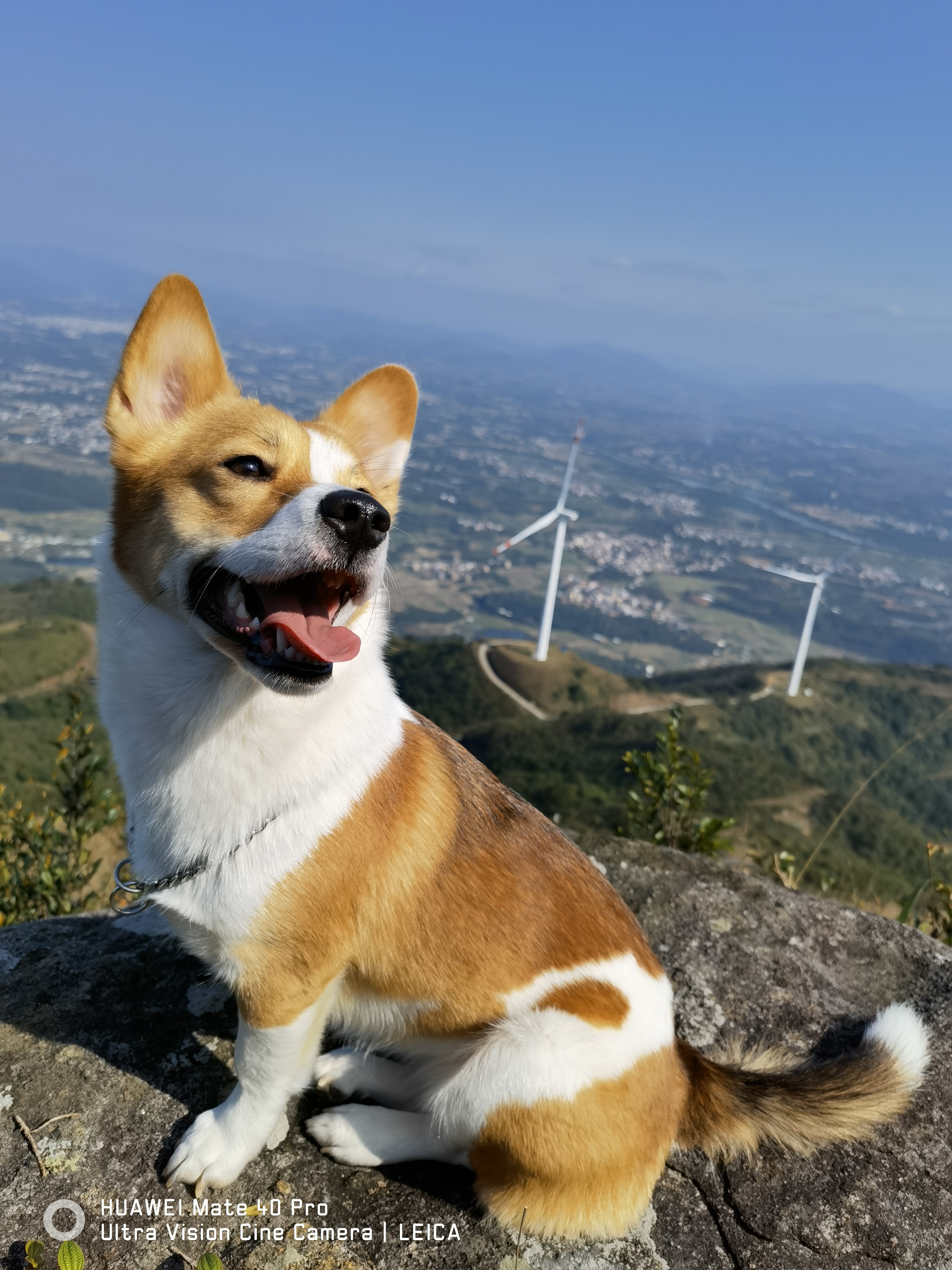 找搭子