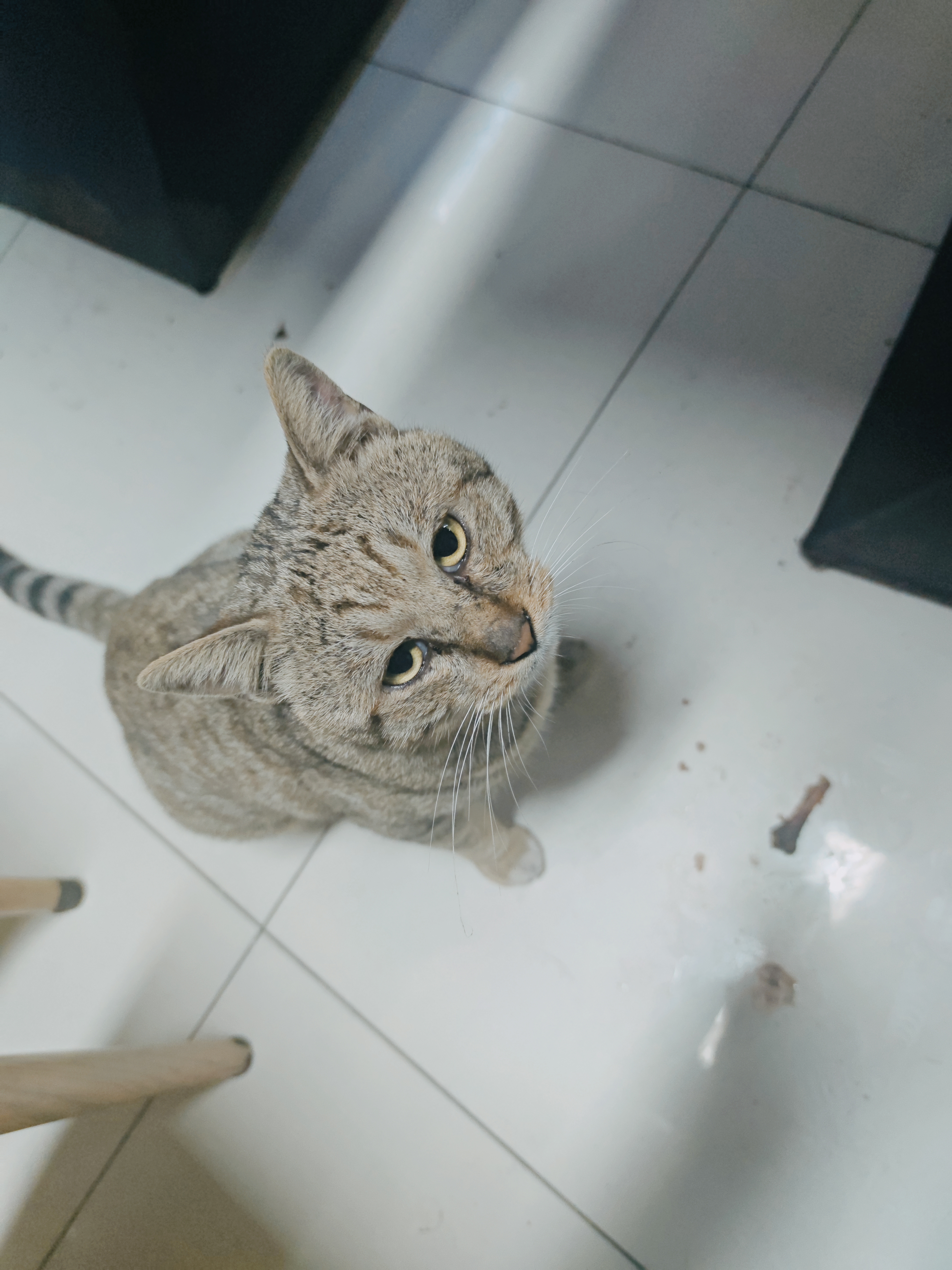 找搭子
