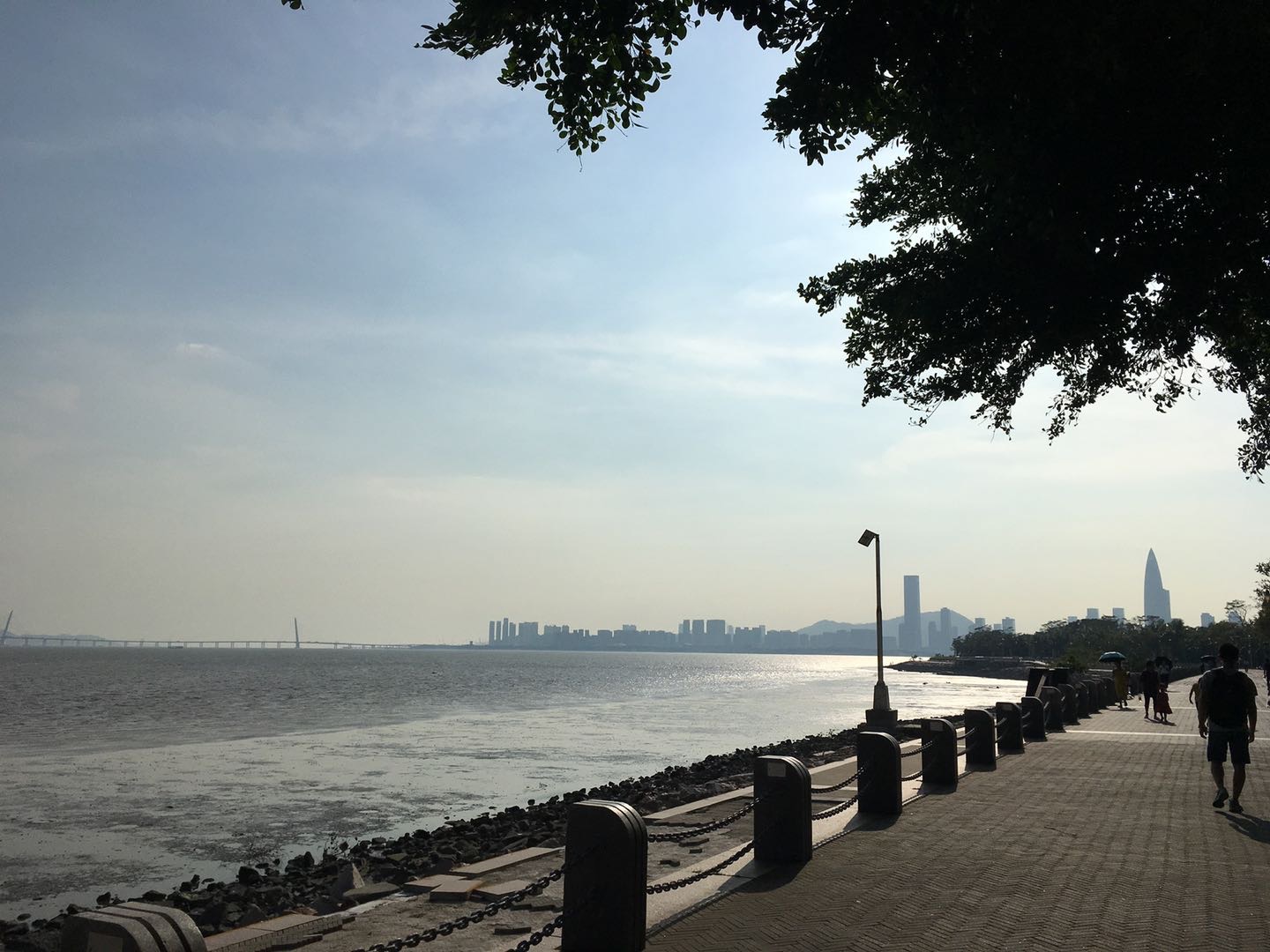 找搭子
