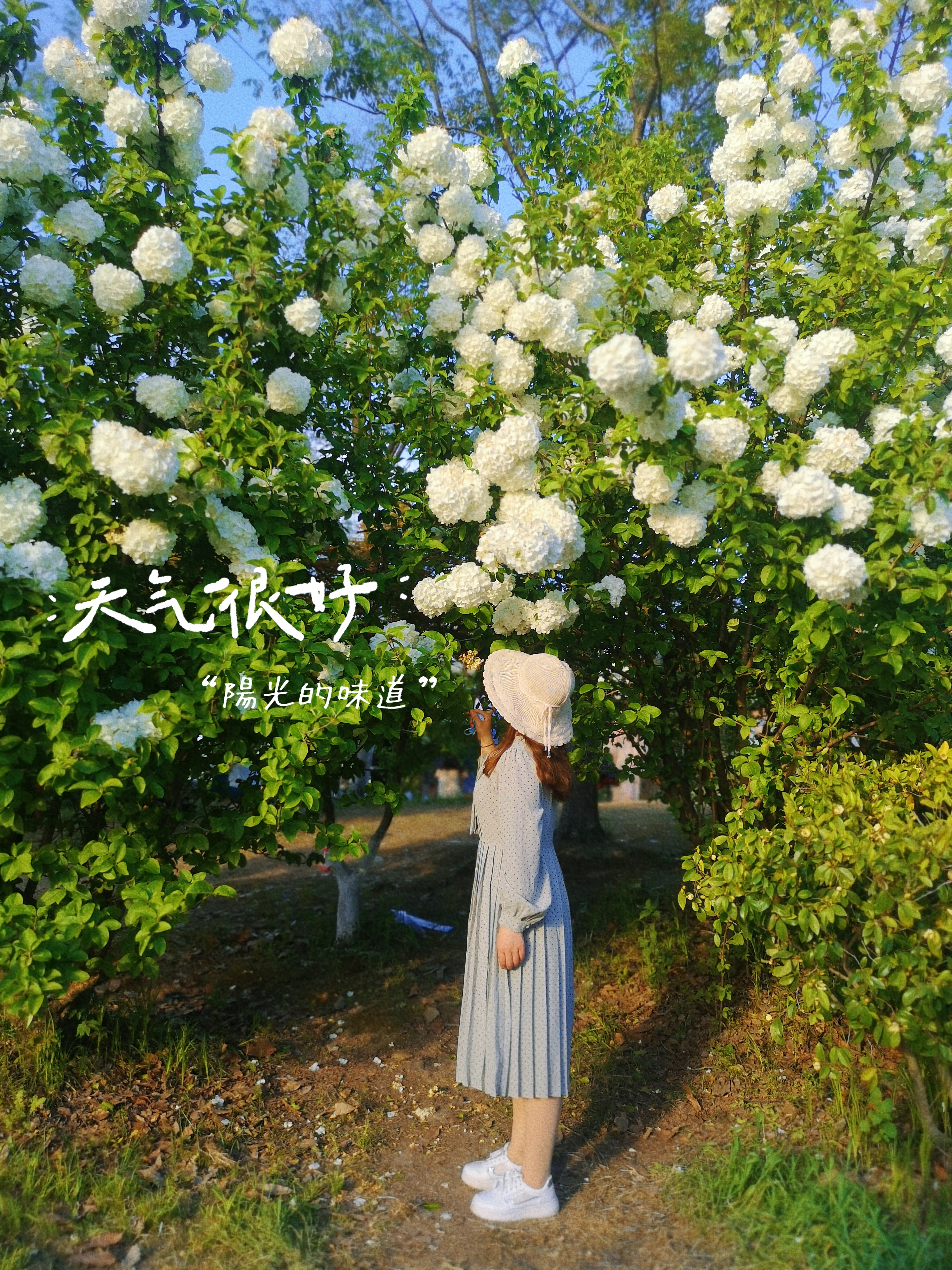 找搭子