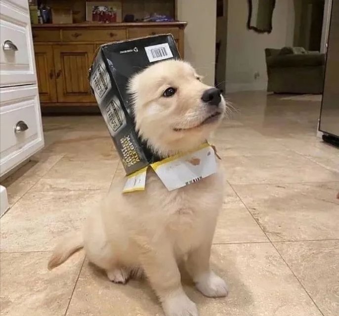 找搭子