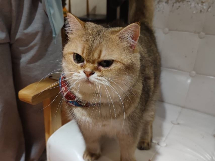 找搭子