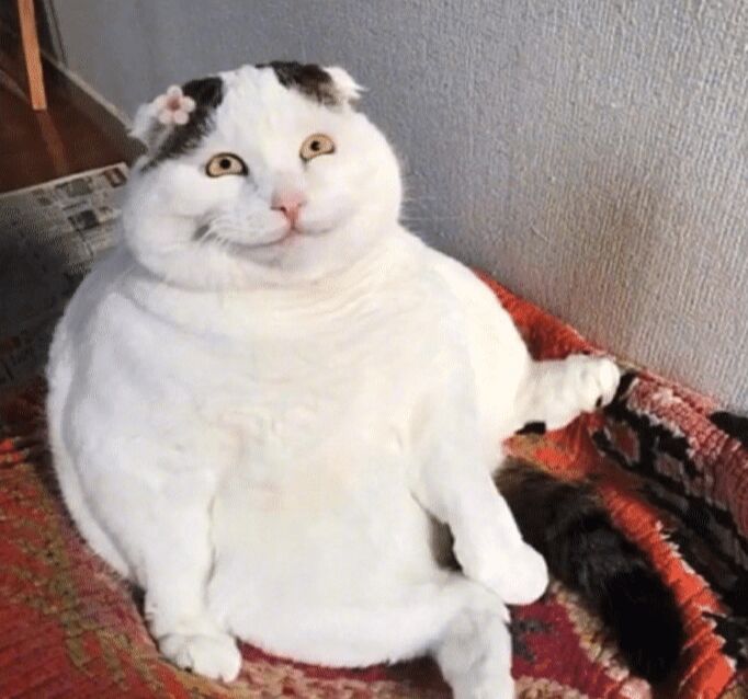 找搭子