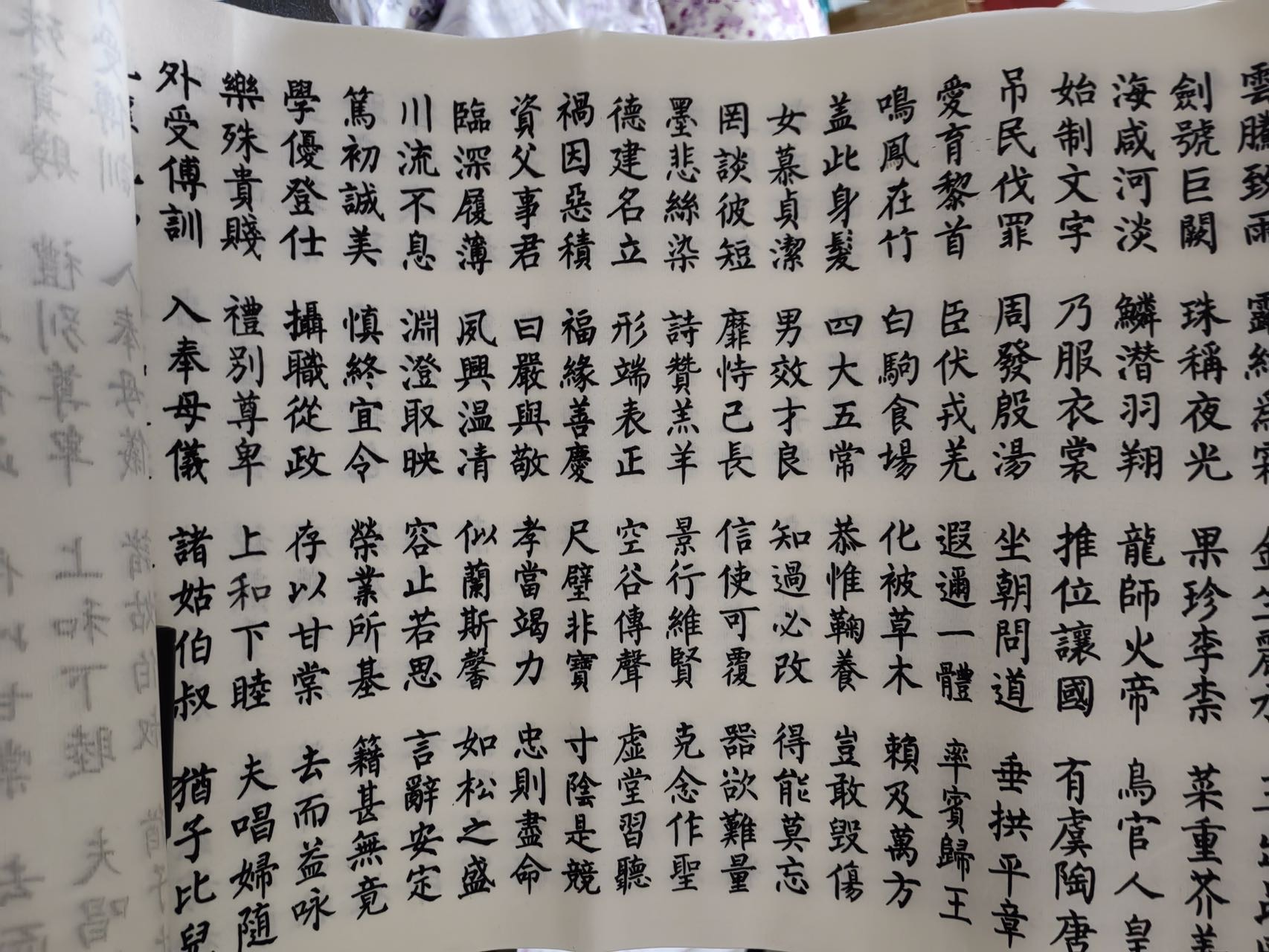 找搭子