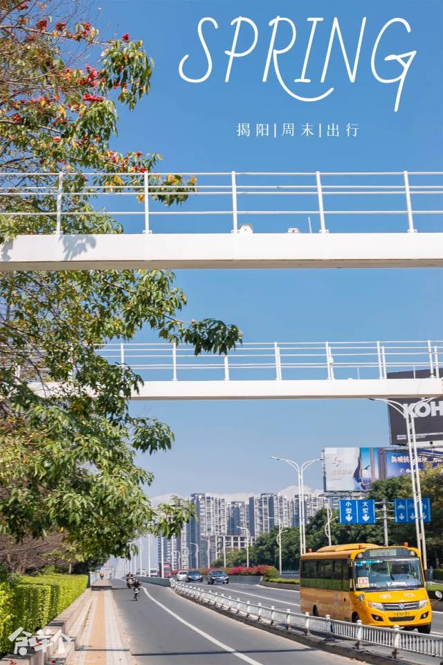 找搭子