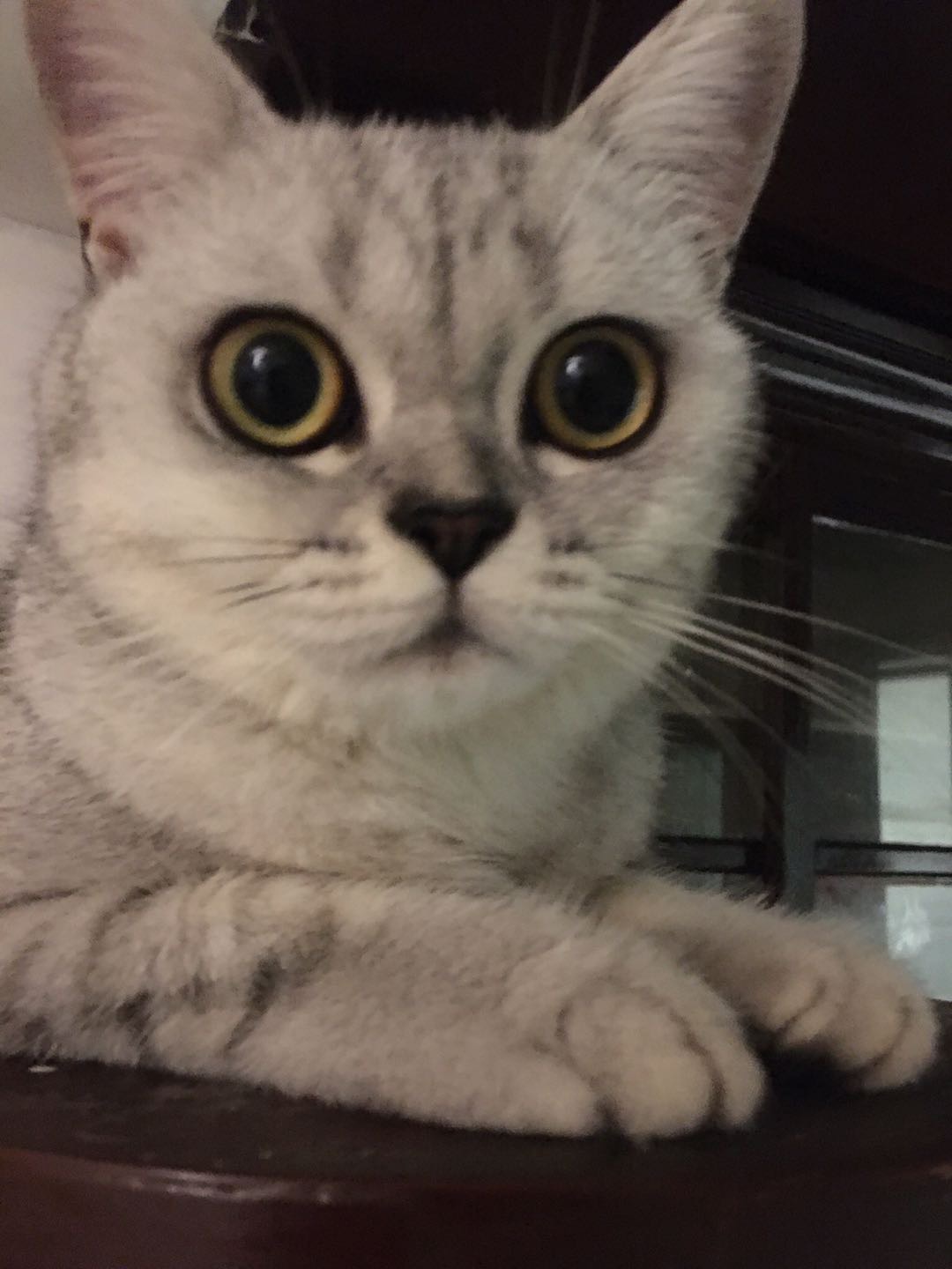 找搭子