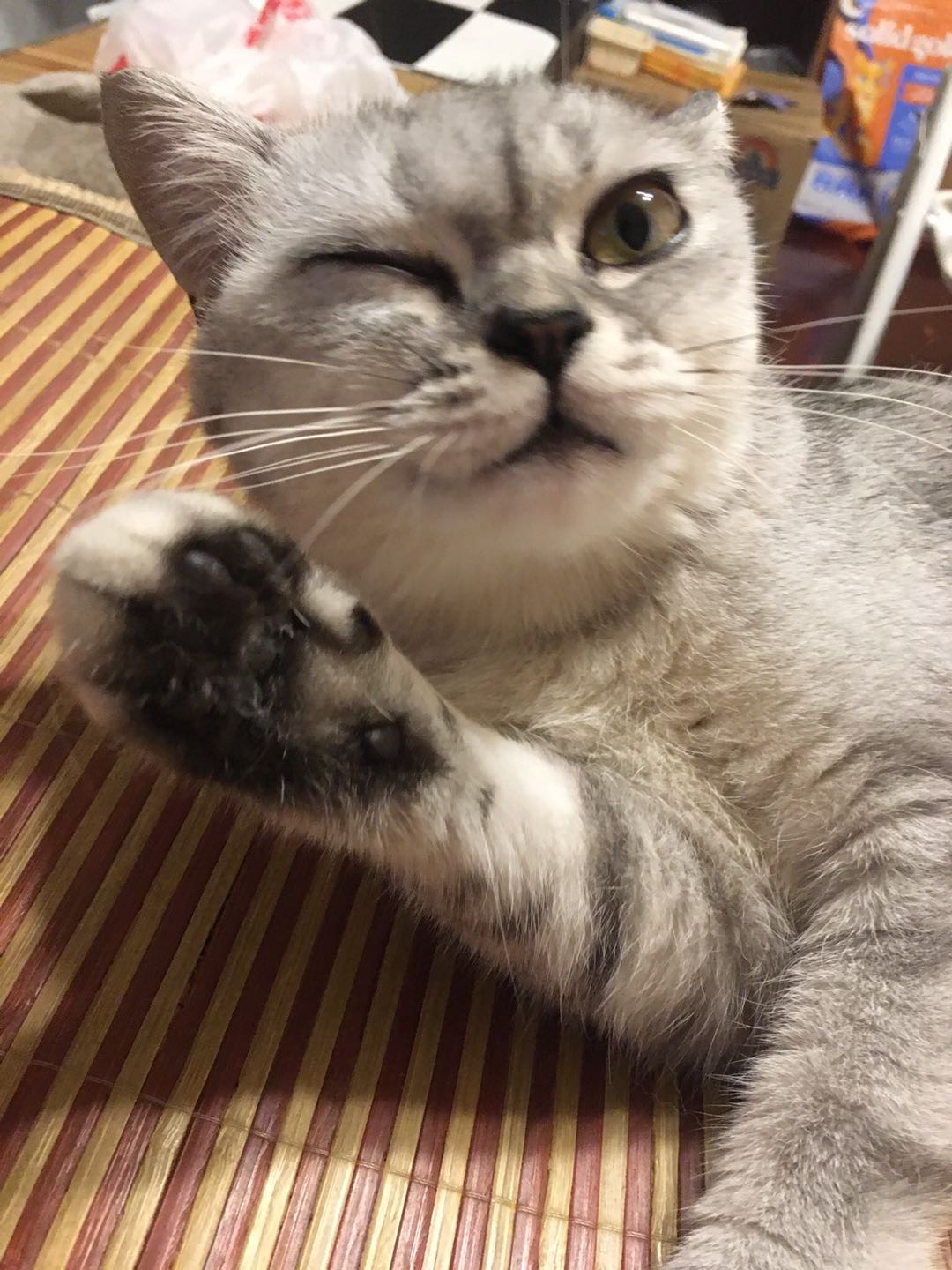 找搭子