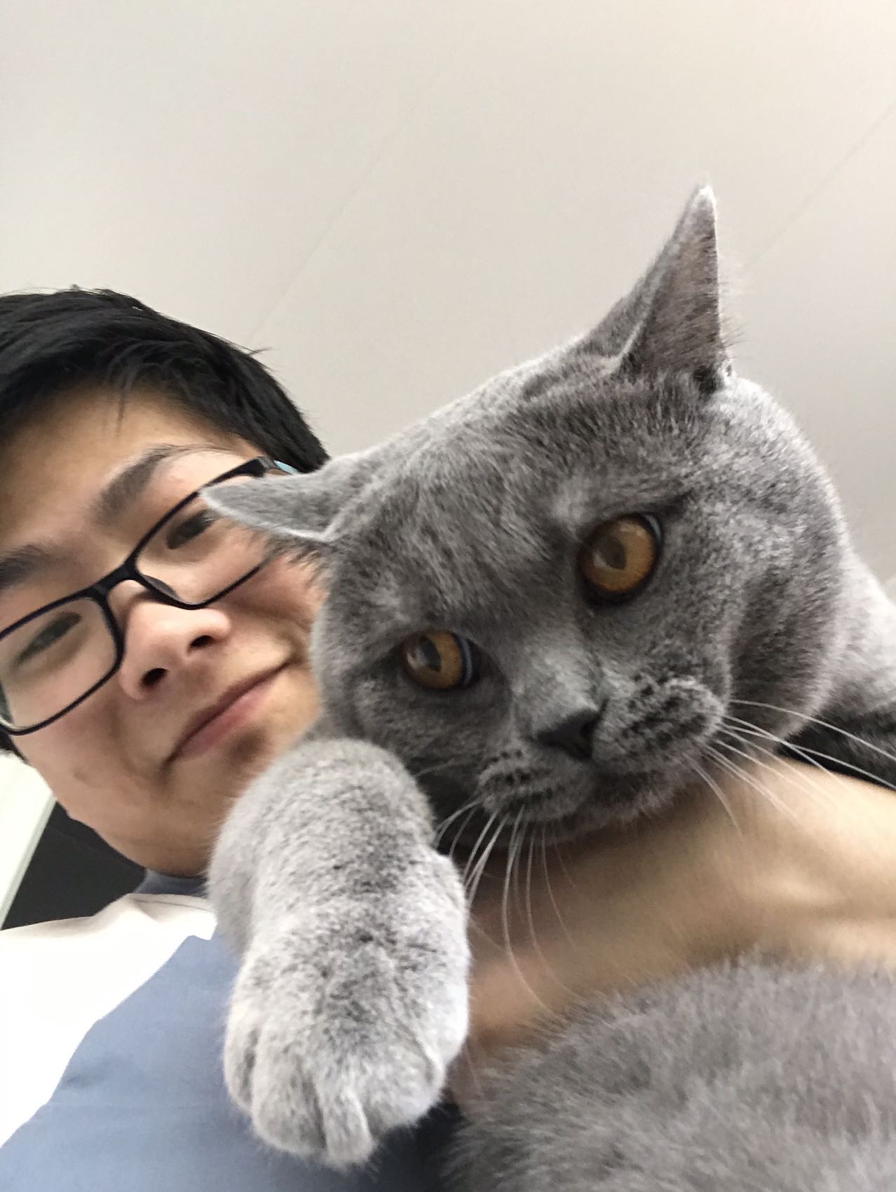 找搭子
