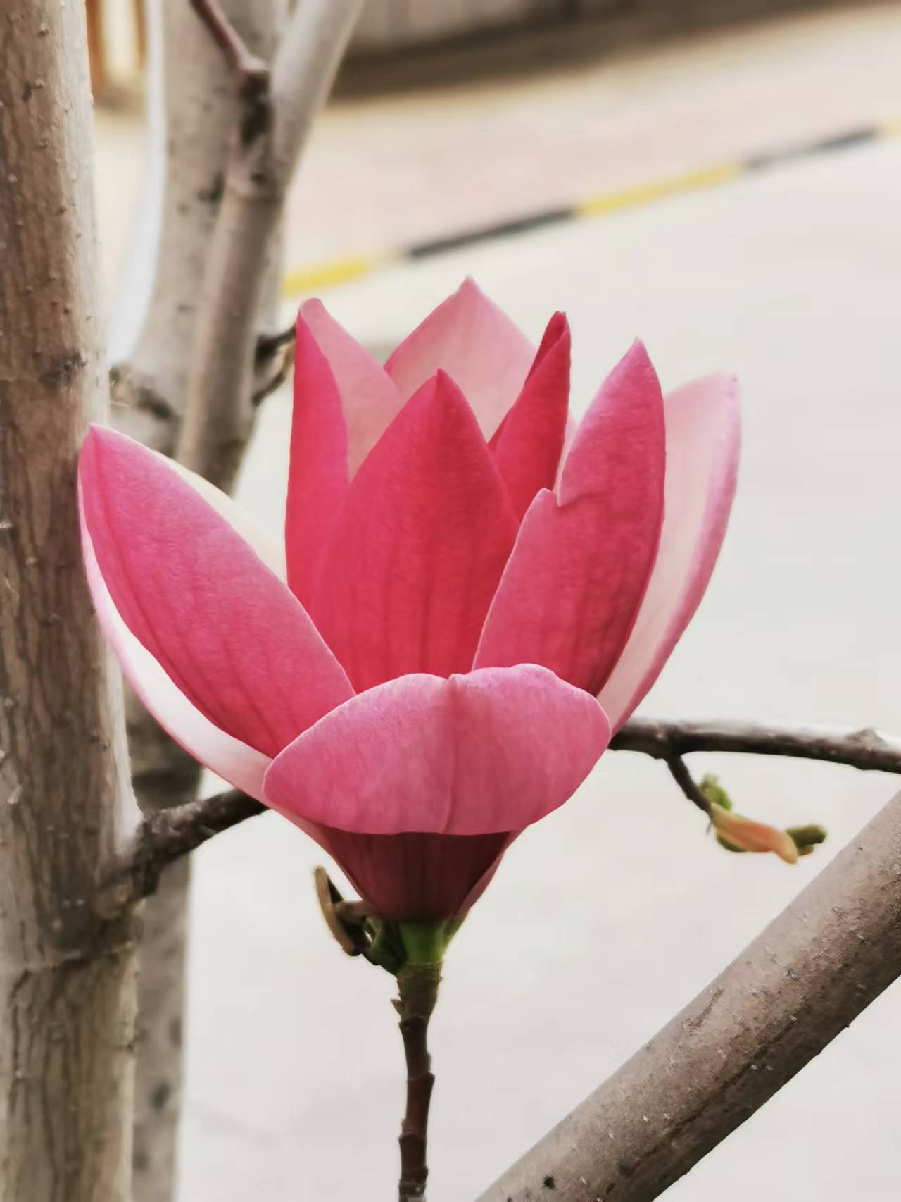 找搭子