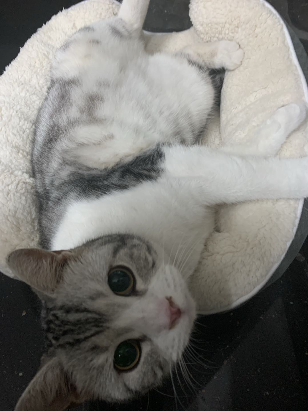 找搭子