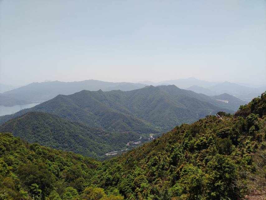 找搭子