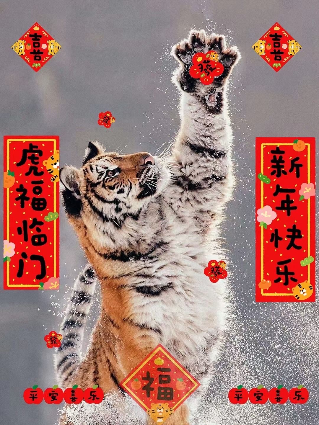 找搭子