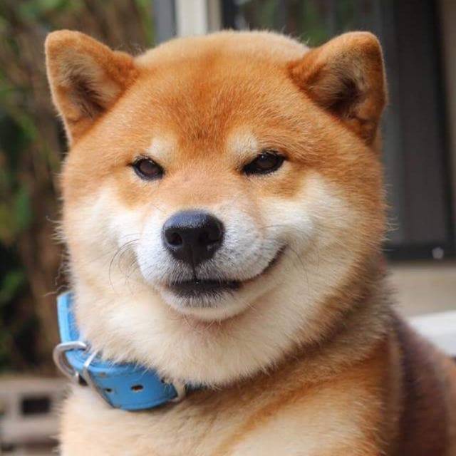 找搭子