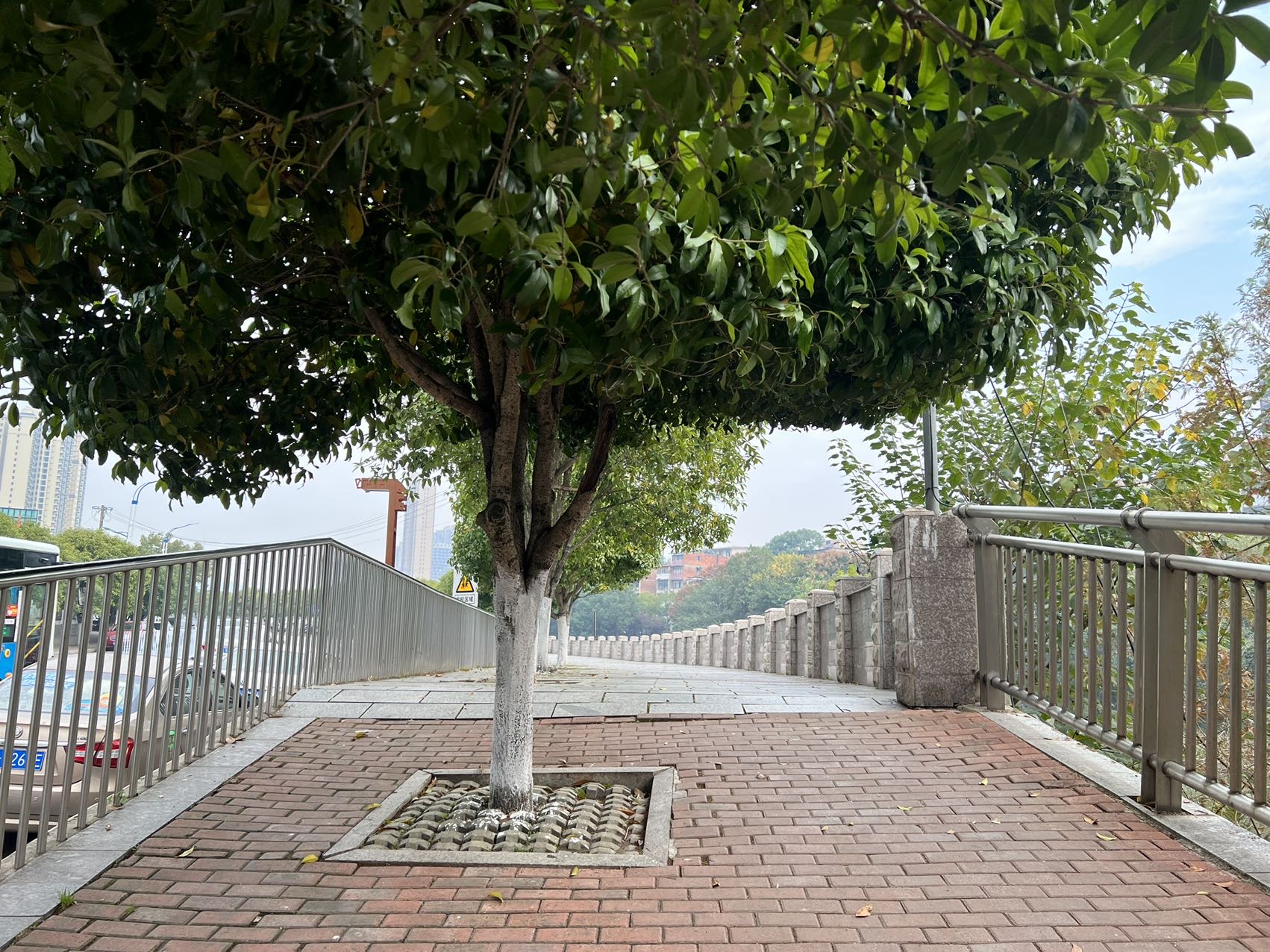 找搭子