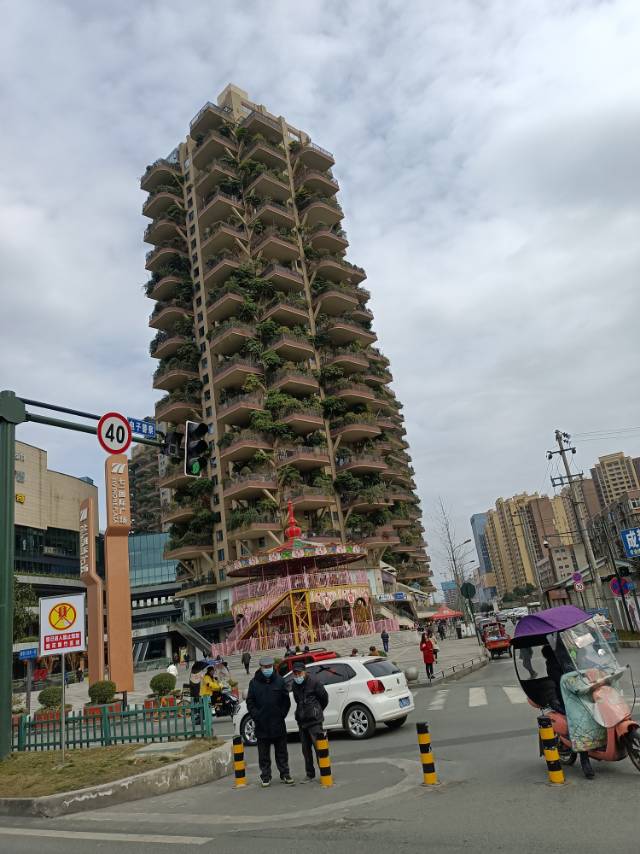 找搭子