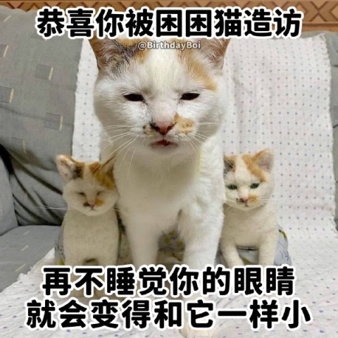 找搭子