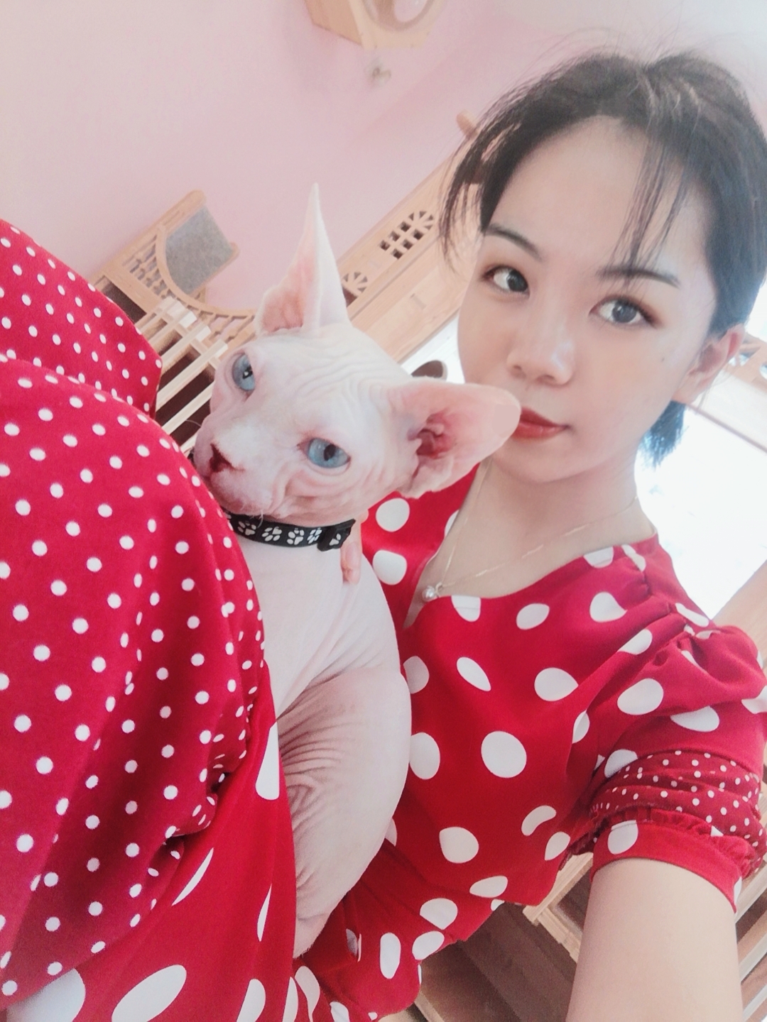 找搭子