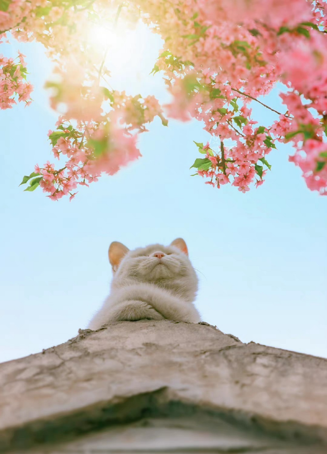 找搭子