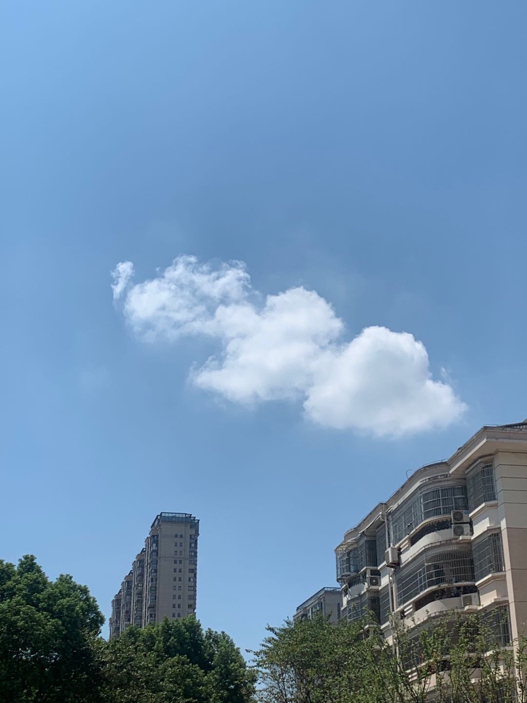 找搭子