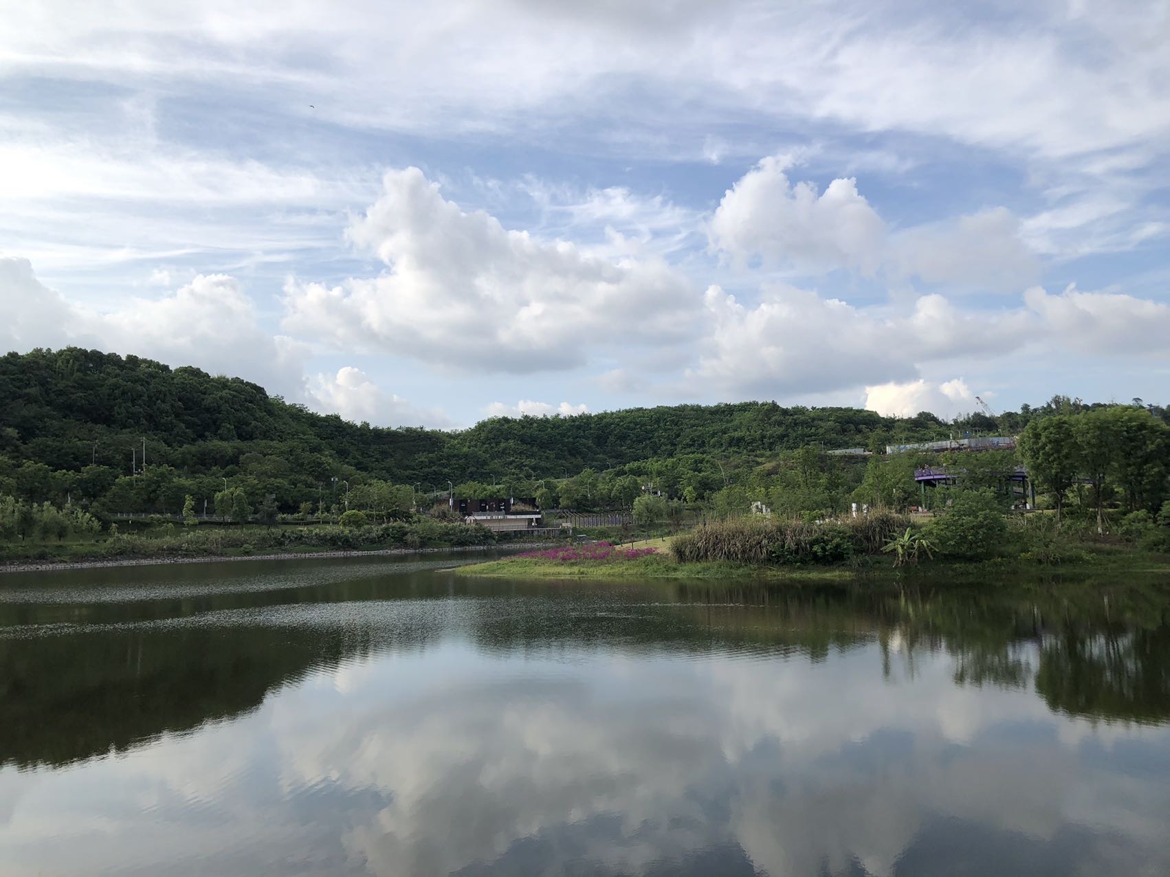 找搭子