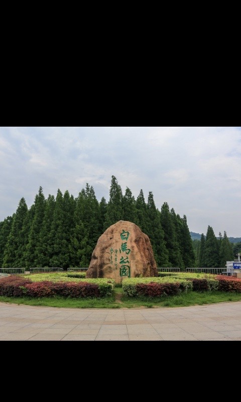 找搭子