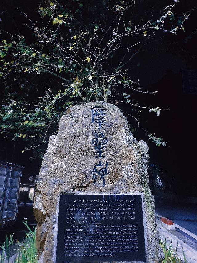 找搭子
