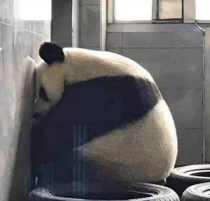找搭子