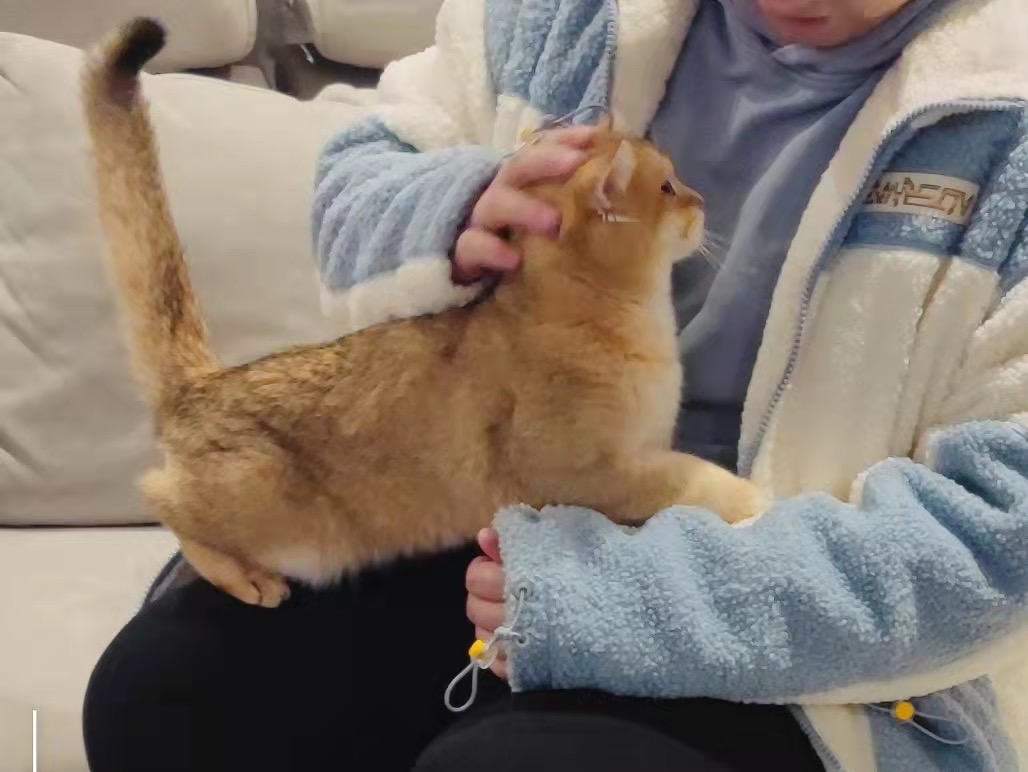 找搭子