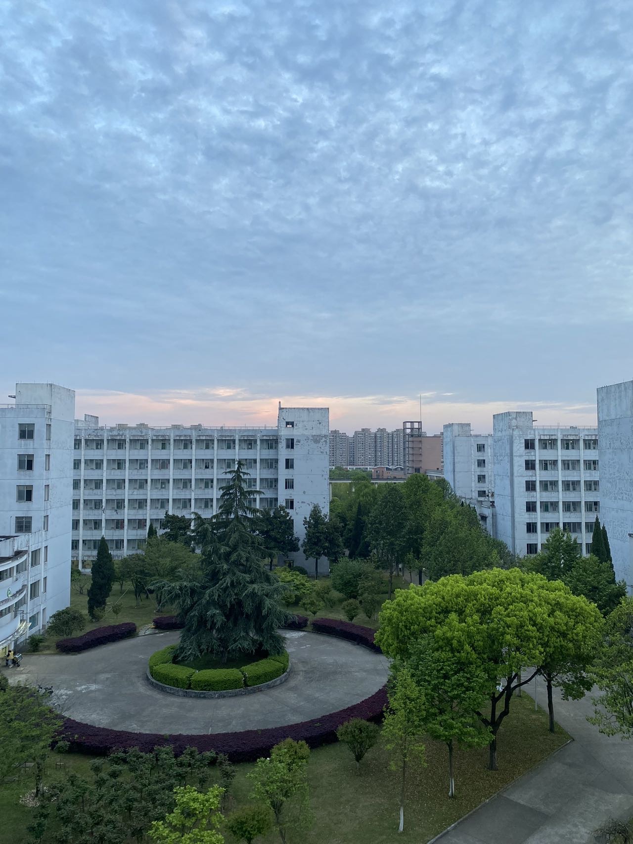 找搭子