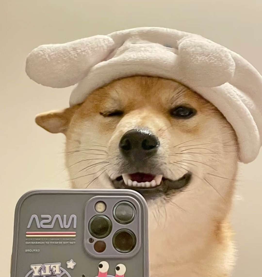 找搭子