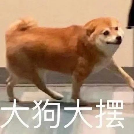 找搭子