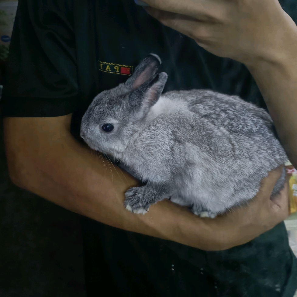 找搭子
