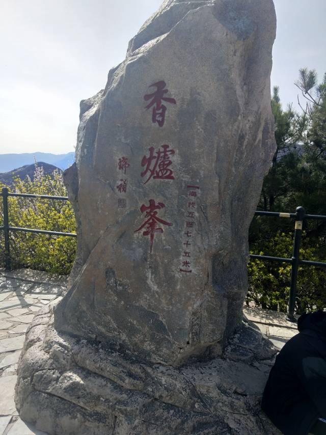 找搭子