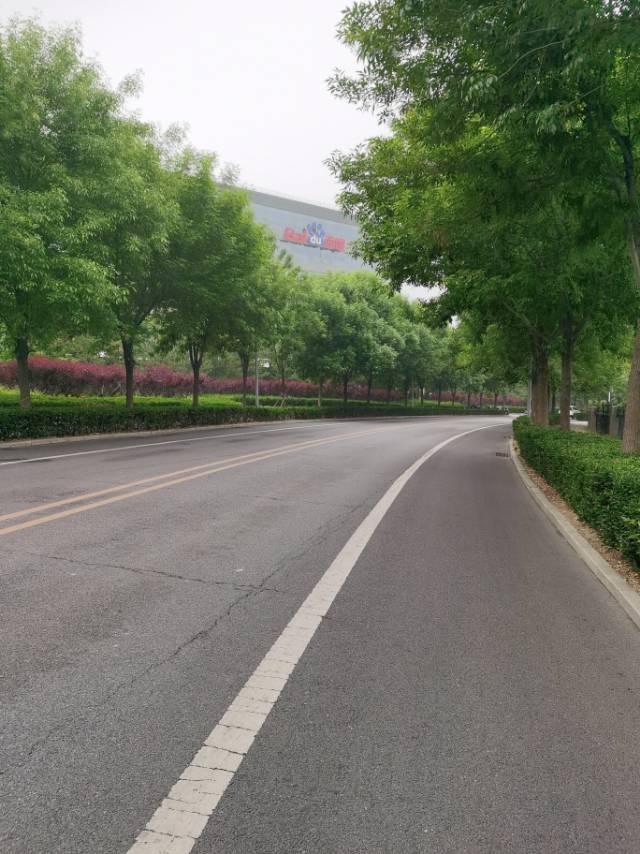 找搭子