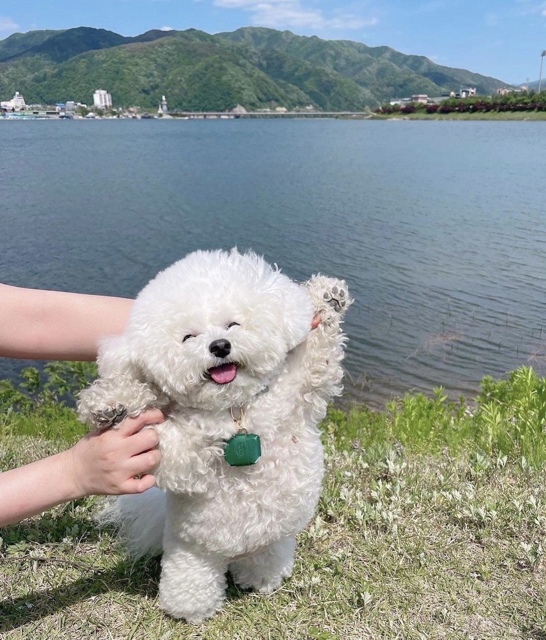 找搭子