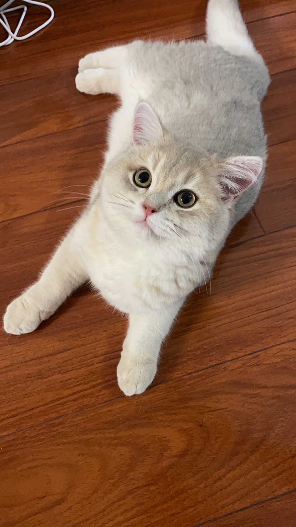 找搭子