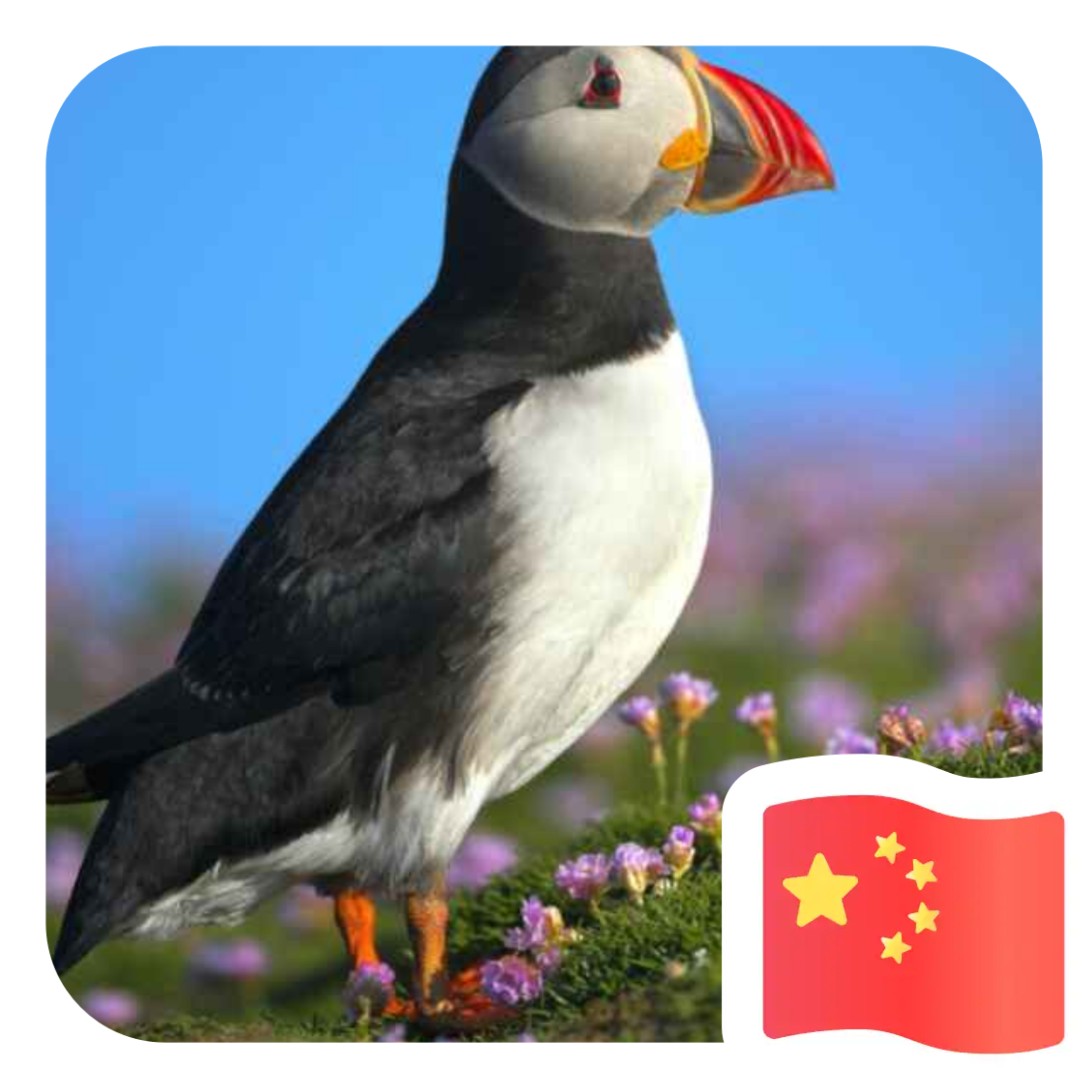 找搭子