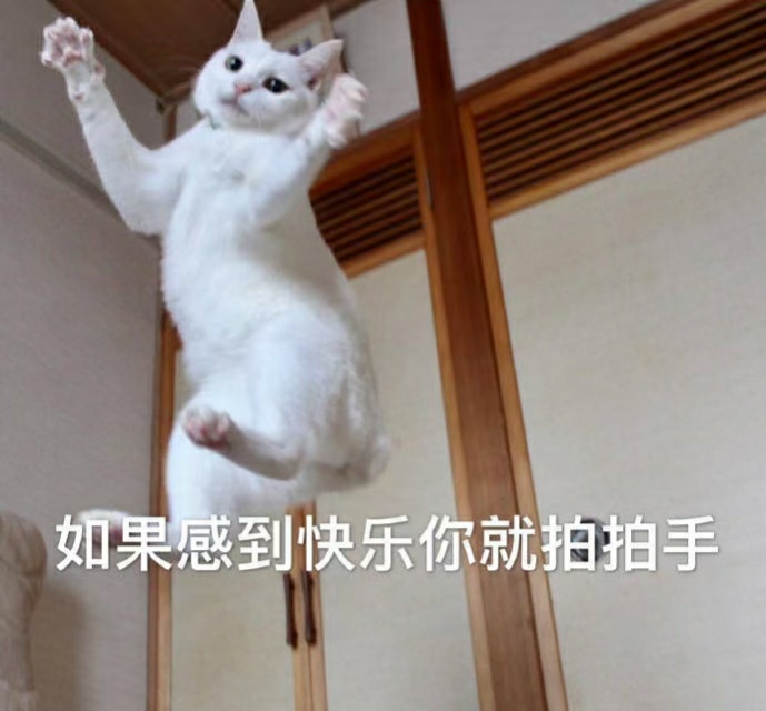 找搭子