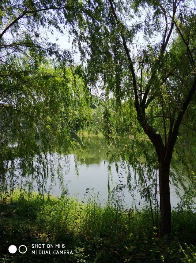 找搭子