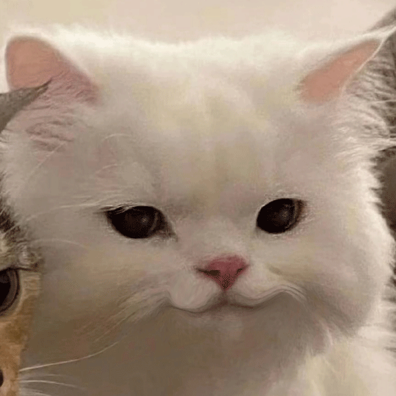 找搭子