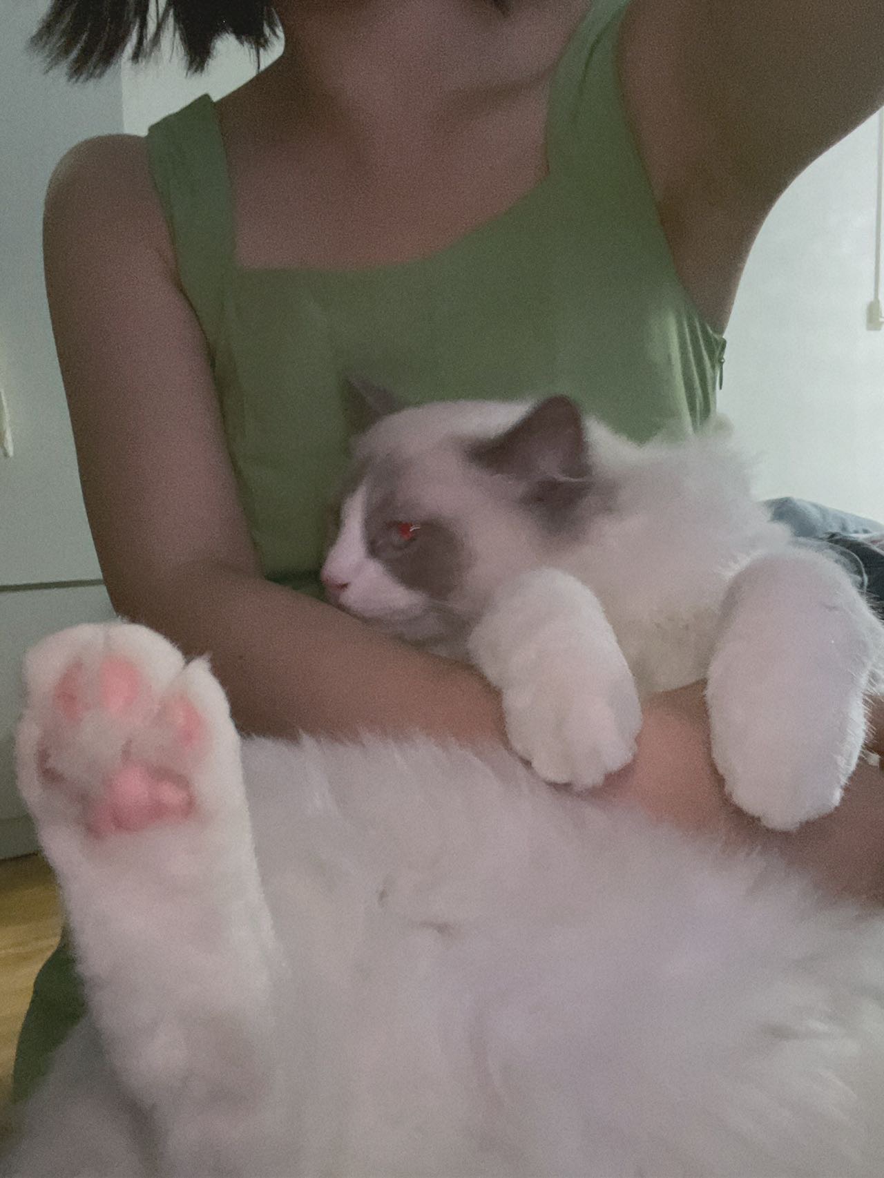 找搭子
