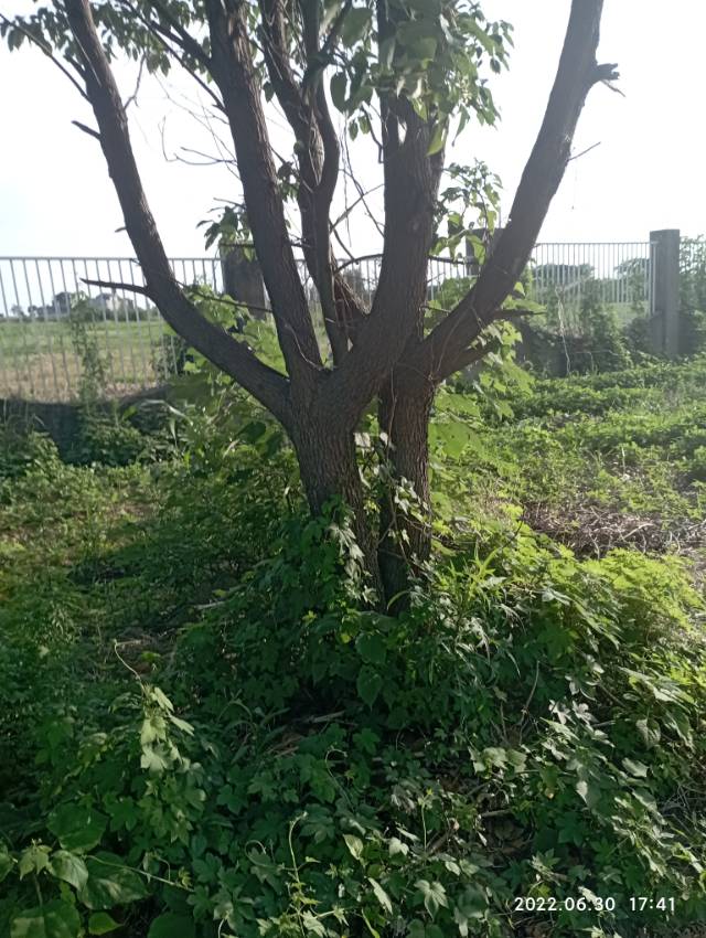 找搭子
